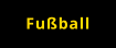 Fußball