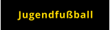 Jugendfußball